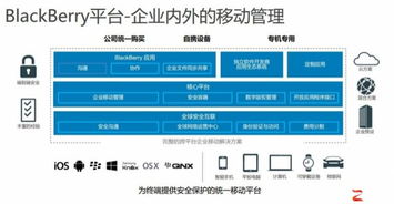网络安全问题需打七寸，BlackBerry以安全软件深耕企业级市场